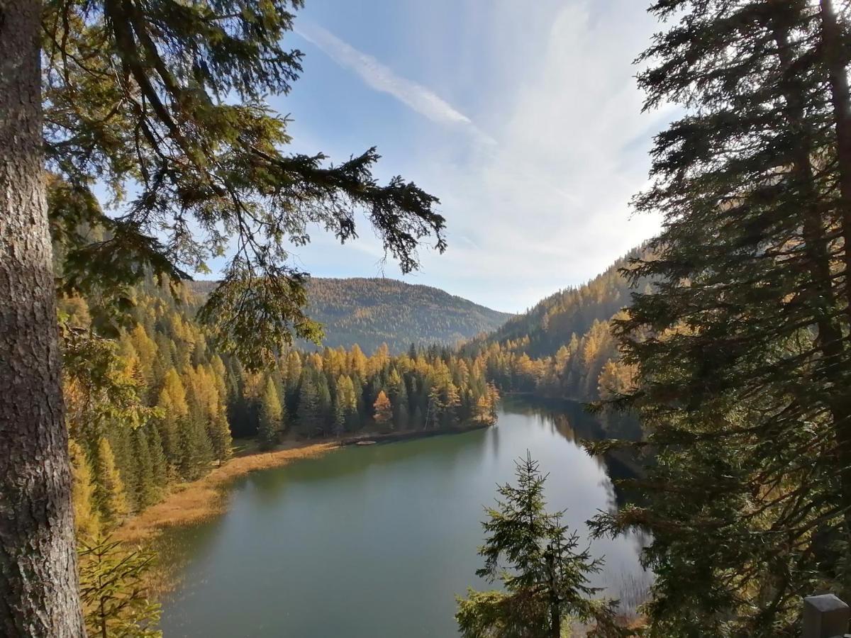 Almhaus Kaernten Flattnitz Zewnętrze zdjęcie