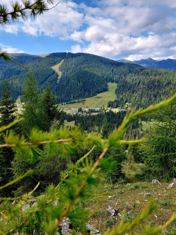 Almhaus Kaernten Flattnitz Zewnętrze zdjęcie